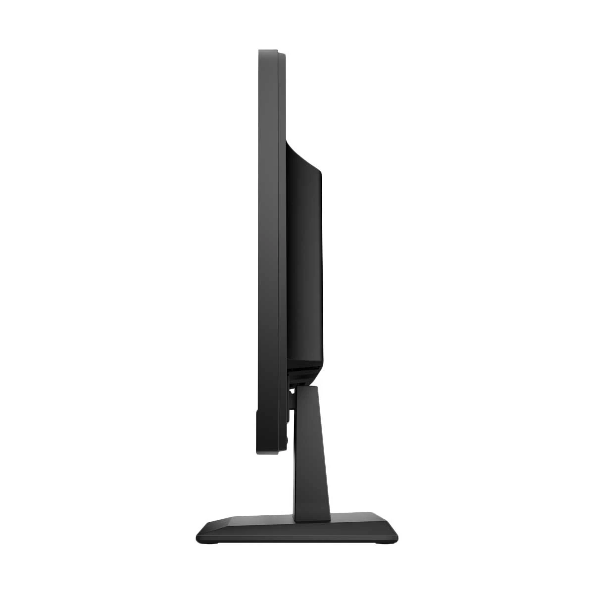 HP V19 19.5-Inch Monitor